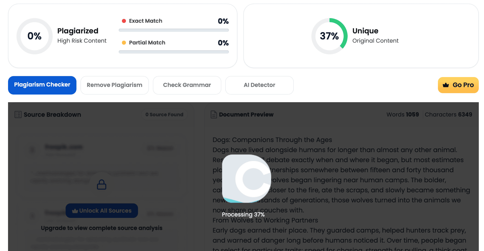 DupliChecker plagiarism report with exact and partial matches