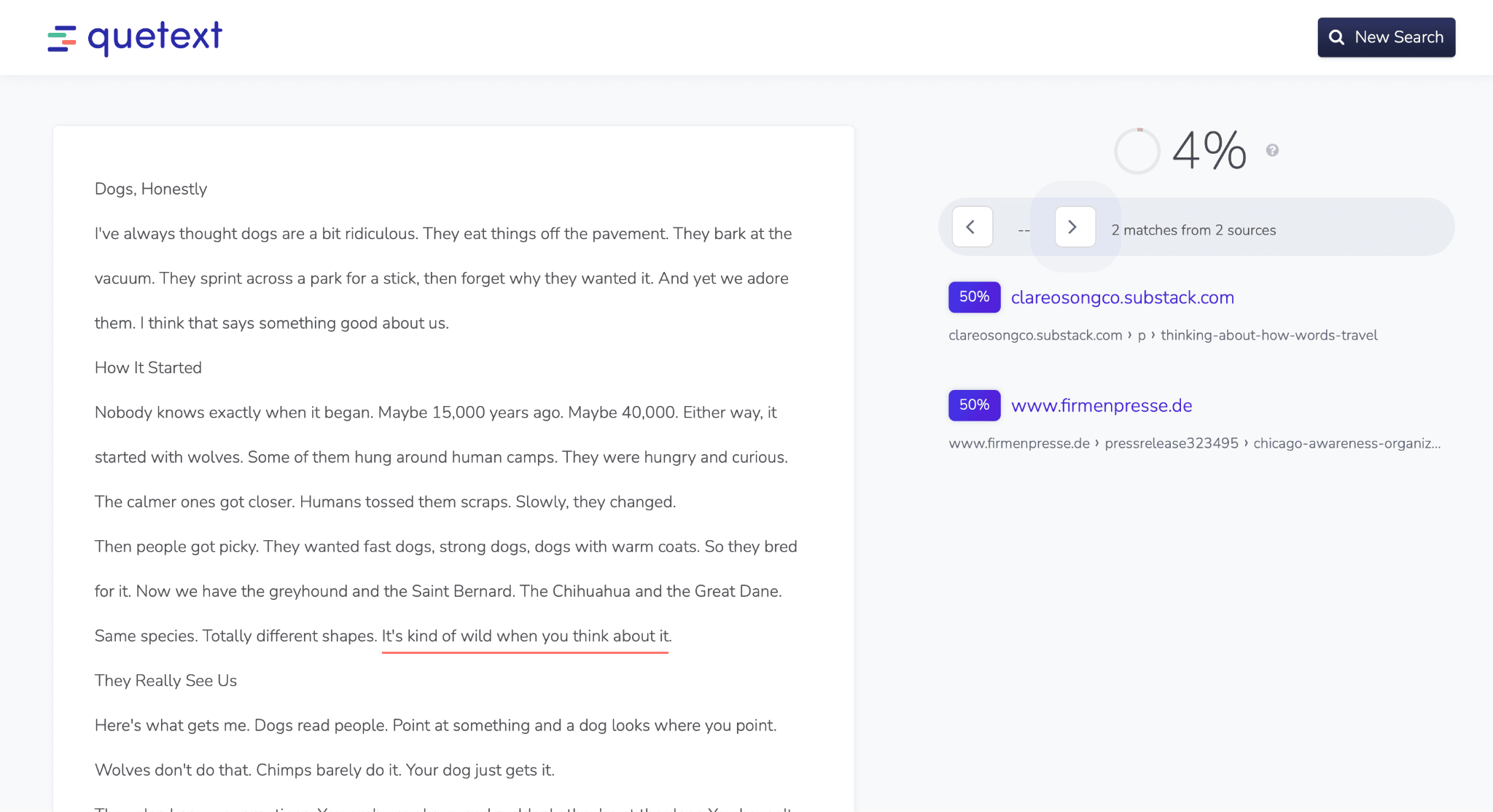 Quetext plagiarism check with matched sources
