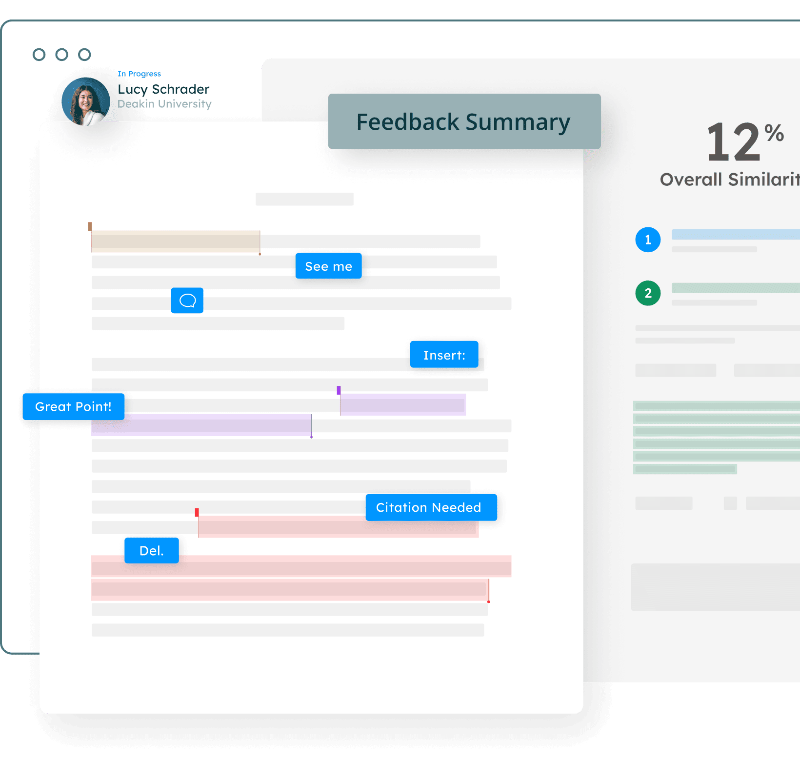Turnitin feedback summary with overall similarity score